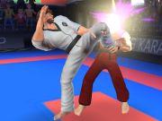 Игра Карате борец онлајн Игра Карате борец онлајн