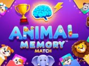 Игра Натпревар за животинска меморија  онлајн