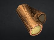 Игра Stonecraft  онлајн