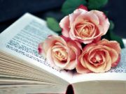 Игра Книга и загатка со цвеќиња онлајн