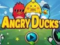 Игра Angry Ducks онлајн