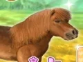 Игра My Dear Pony онлајн