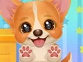 Игра Adopt Your Pet Puppy онлајн