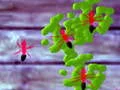 Игра Smash Ants онлајн