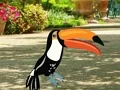 Игра Find Woodpecker Pair онлајн