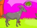 Игра Wolf Escape онлајн
