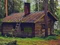 Игра Assist The Barn Owl онлајн