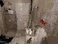 Игра Occupied онлајн