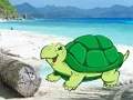 Игра Beach Crab Pair Escape онлајн