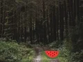 Игра Dense Forest Deer Escape онлајн