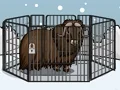 Игра Rescue The Musk Ox онлајн