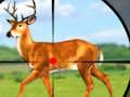 Игра Wild Hunt Hunting Games 3D онлајн