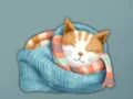Игра Adorable Escape Find Cute Kitten онлајн