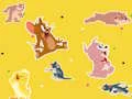 Игра The Tom and Jerry Show Find it! онлајн