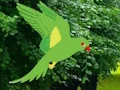 Игра Parrot Find The Nest онлајн