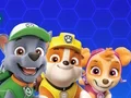 Игра Paw Patrol онлајн