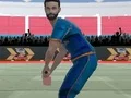 Игра Cricket Powerplay онлајн