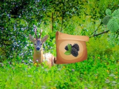 Игра Return To Alsunga Forest онлајн