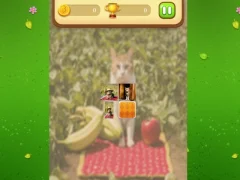 Игра Farm Cat Memory Match онлајн