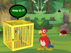 Игра Release Trapped Macaw Buddy онлајн