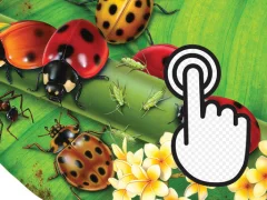 Игра Ladybug Clicker онлајн