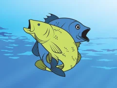 Игра Friendly Fish Coloring онлајн