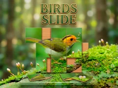 Игра Birds Slide онлајн