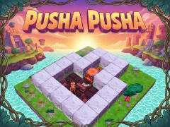 Игра Pusha Pusha онлајн