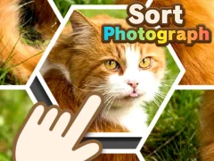 Игра Sort Photograph онлајн