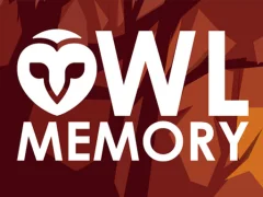 Игра Owl Memory онлајн