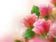 Игра Pink Roses онлајн