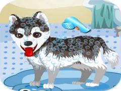 Игра My Cute Dog Bathing онлајн