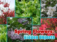 Игра Spring Flowers: Hidden Objects онлајн