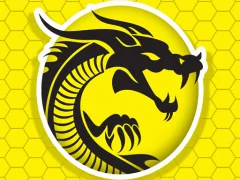 Игра Kung Fu Fury онлајн