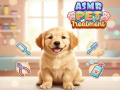Игра Asmr Pet Treatment онлајн