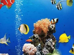 Игра Sea Underwater Difference онлајн
