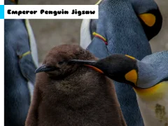 Игра Emperor Penguin Jigsaw онлајн