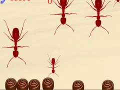Игра Smash All Ants онлајн