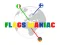 Игра Flags Maniac онлајн