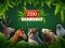 Игра ZOO Trivia онлајн
