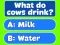 Игра Trivia! Best Family Quiz онлајн
