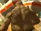 Игра Monster Simulator онлајн