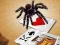 Игра Jumping Spider онлајн