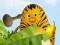 Игра Die Dschungelhelden: Kung-Frucht Training онлајн
