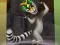 Игра King Julien: Trommel-Tanz онлајн