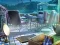 Игра The Mysterious Creatures онлајн