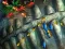 Игра Fishing King онлајн