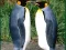 Игра Penguin Puzzle онлајн