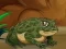 Игра Frogs Matching онлајн