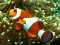 Игра Underwater Hidden Numbers онлајн